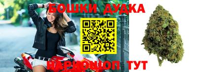 прущие крисы Лесосибирск