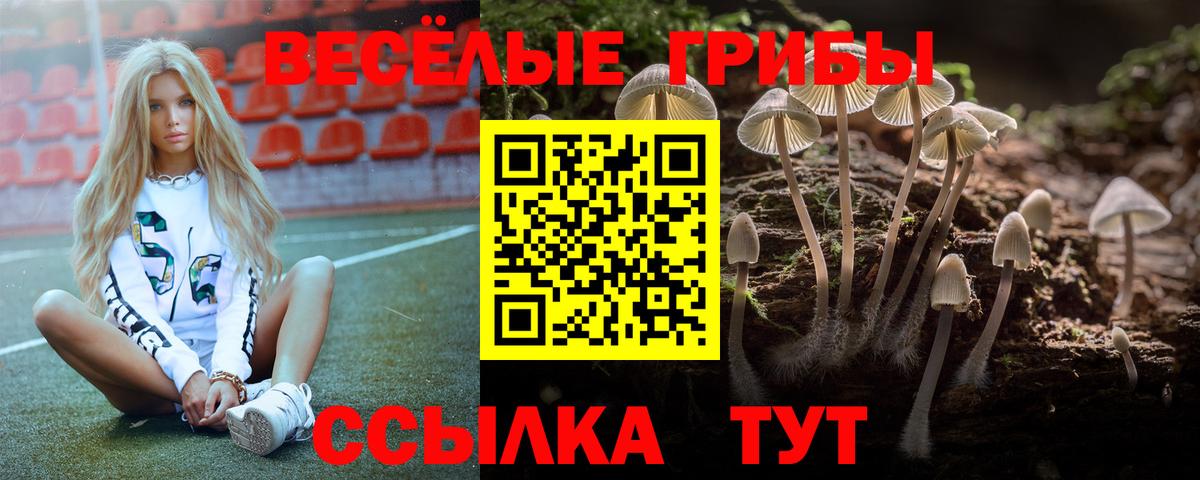 Псилоцибиновые грибы Magic Shrooms  Вход с VPN  Железноводск 